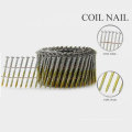 Professional 15degree Coil Nail avec une bonne qualité